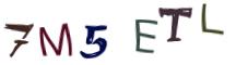 Bild-CAPTCHA